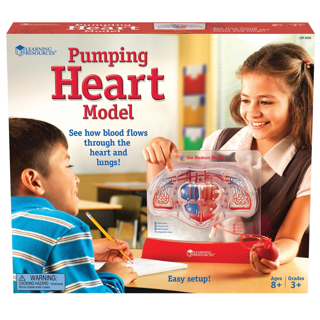 Learning Resources&#xAE; Pumping Heart Model